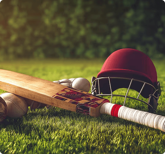 Cricket auction platform dashboard preview