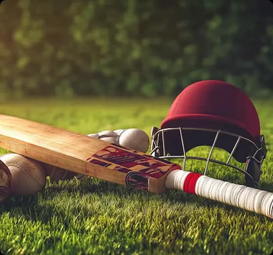 Cricket auction platform dashboard preview